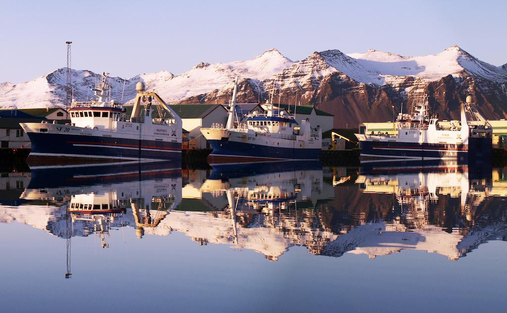 House On The Hill Hotel Höfn Buitenkant foto